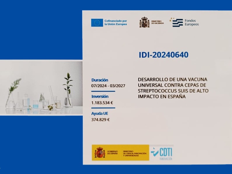 Imatge Projecte cofinançat per la Unió Europea